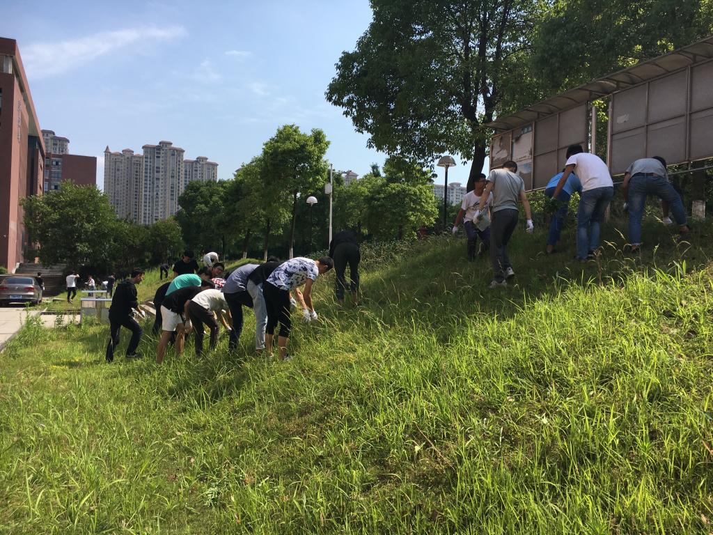 必赢线路检测3003no1